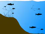 Lake George Food Web