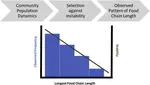 Why there are so few trophic levels: Selection against instability explains the pattern